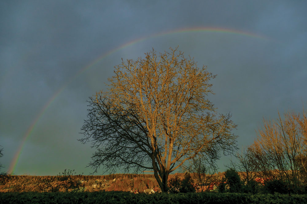 Regenbogen Schraml